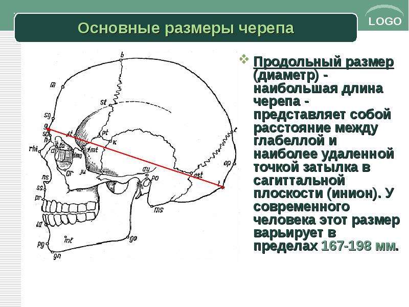 Продольный размер