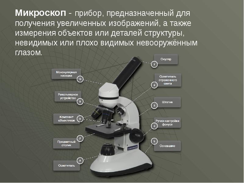 Какое увеличение дает данный микроскоп как узнать