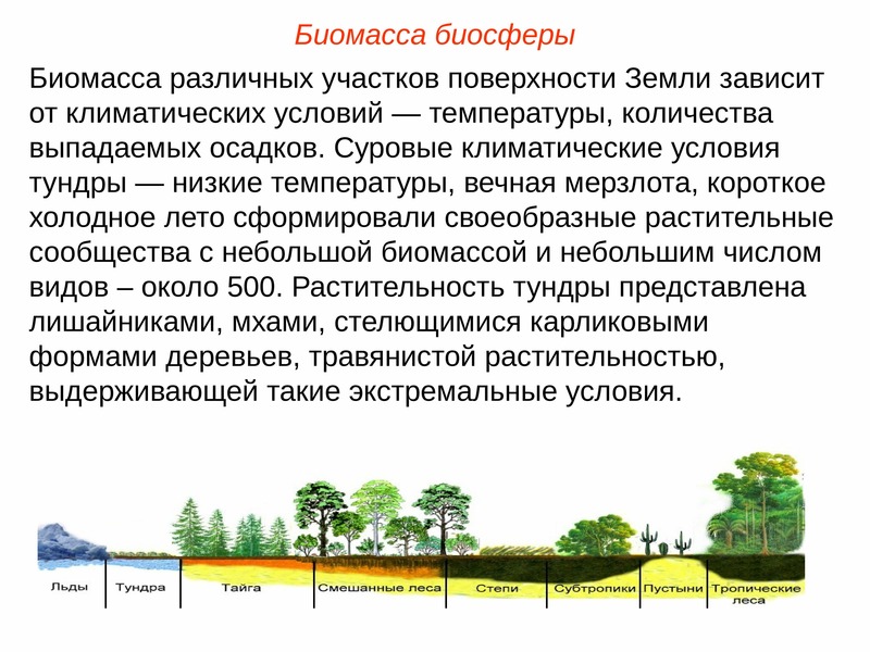 Биосфера глобальная экосистема презентация 8 класс