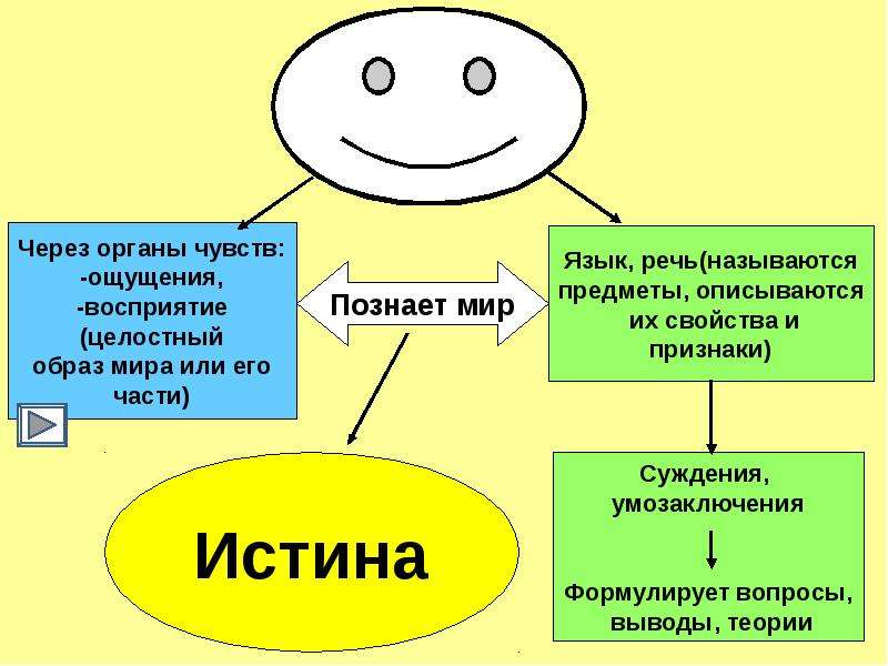 Презентация человек познает мир