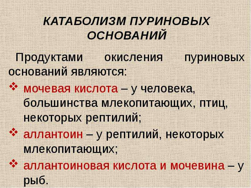 Катаболизм что это