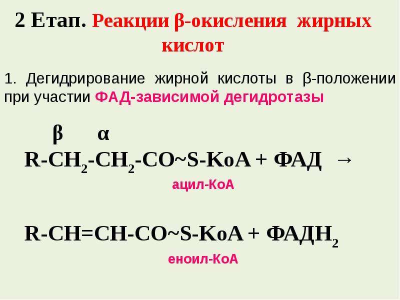 Дегидрирование формула. Окисление жиров реакция. Реакция окисления жира. Окисление жиров формула. Окисление жиров уравнение реакции.