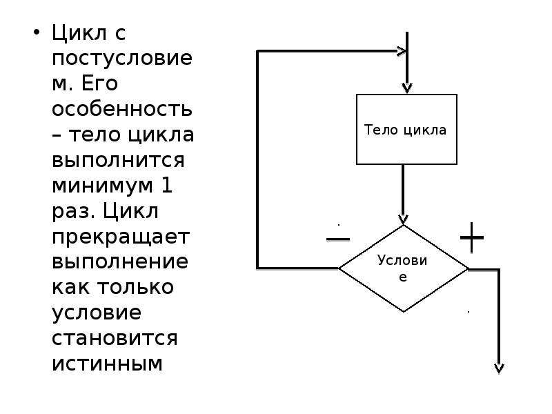 Цикл раз