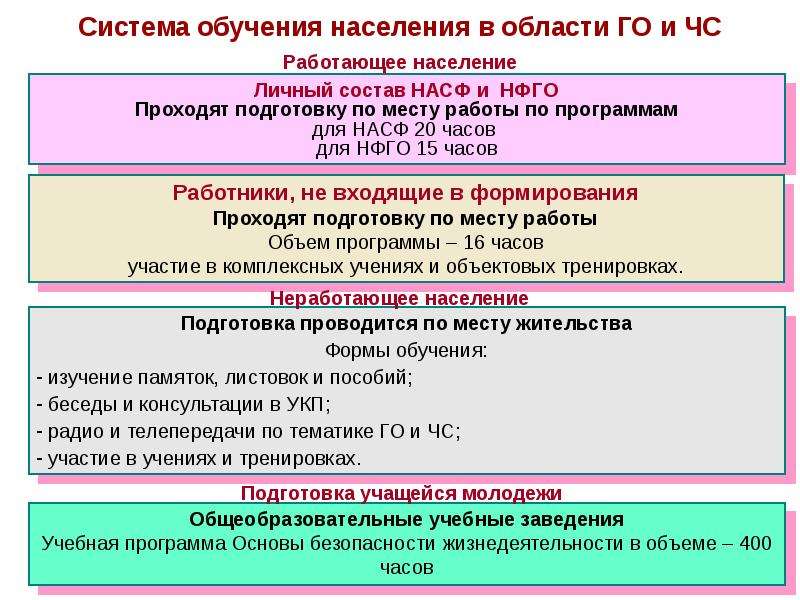 План действий нфго организации образец