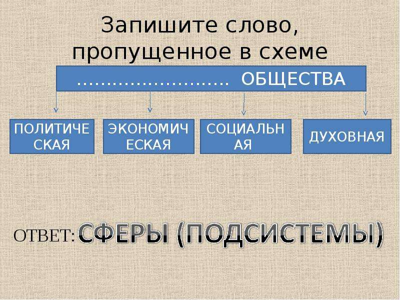 Запишите слово пропущенное в схеме функции семьи