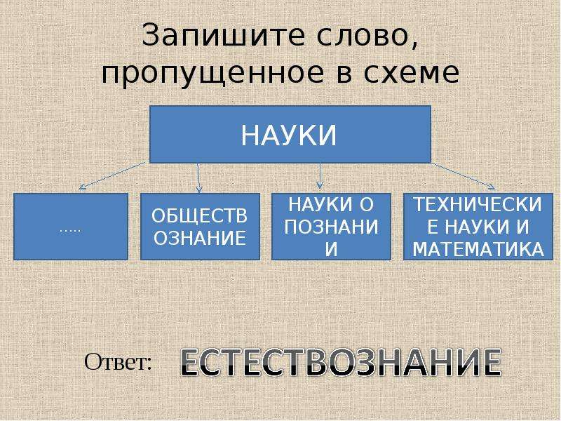 Напишите слово пропущенное в схеме