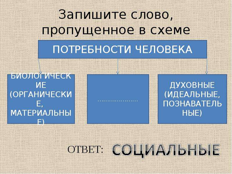 Запишите слово пропущенное в схеме деятельность практическая