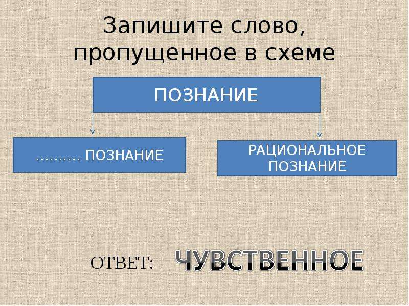 Напишите слово пропущенное в схеме