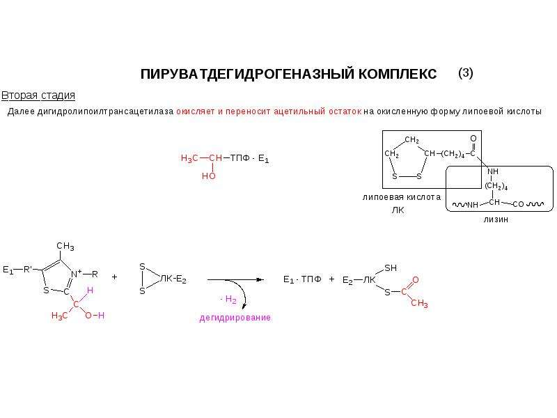 Структурно функциональная организация пируватдегидрогеназного комплекса схема