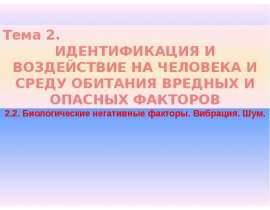 Идентификация и воздействие на человека и среду обитания вредных и опасных факторов