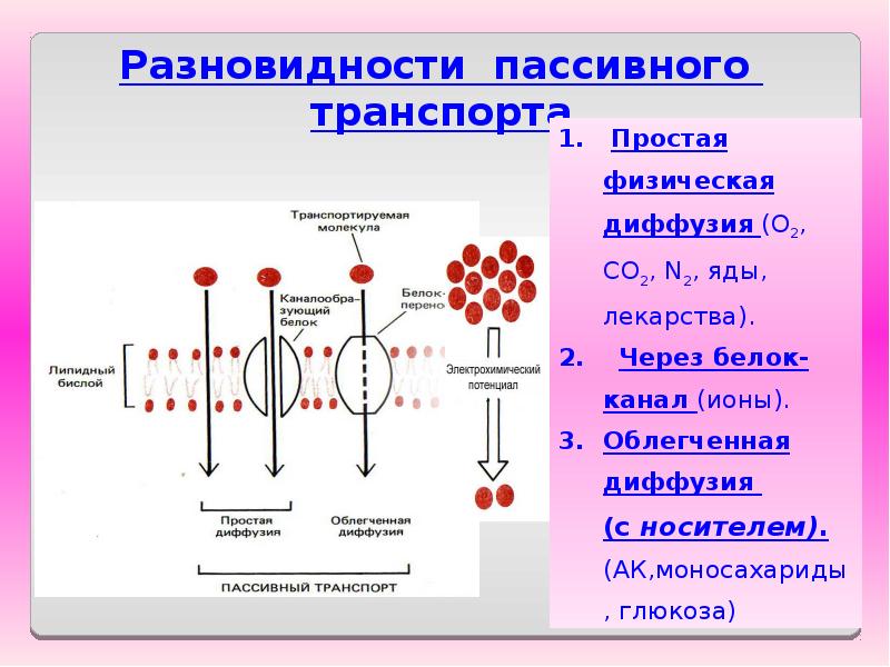 Канал белков