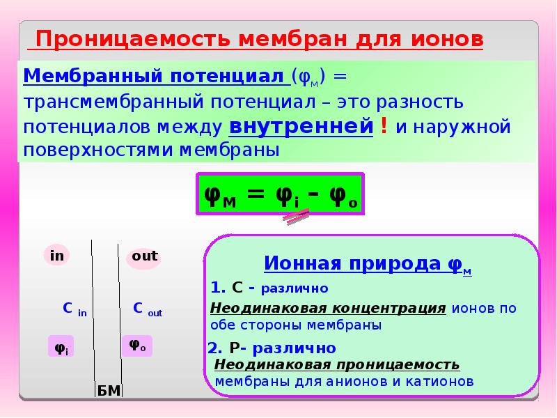 Ионная природа. Проницаемость мембраны для ионов. Проницаемость мембраны для различных ионов. Природа ионной проницаемости мембраны. Мембрана проницаема для ионов калия.