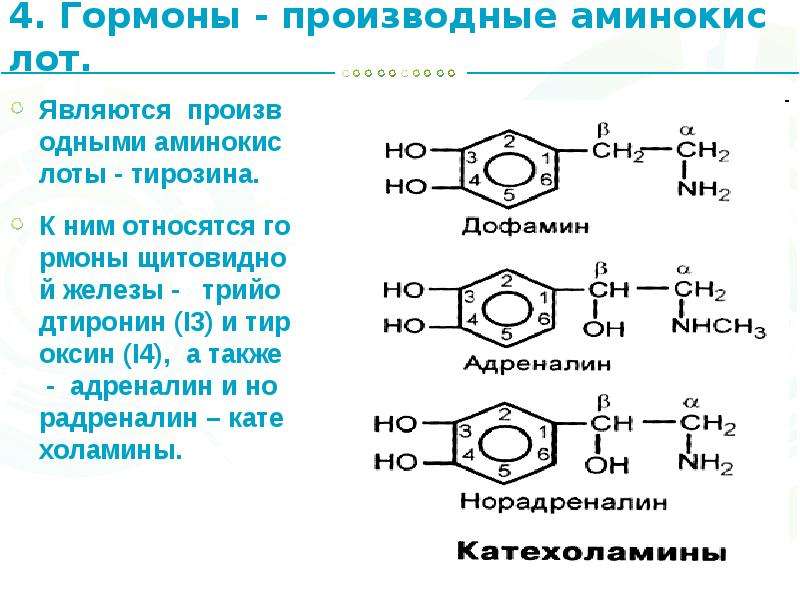Производные аминокислот гормоны фото