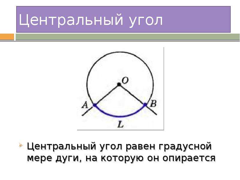 Центральный угол градусная мера дуги