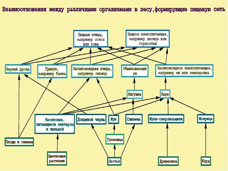 Сеть питания картинка