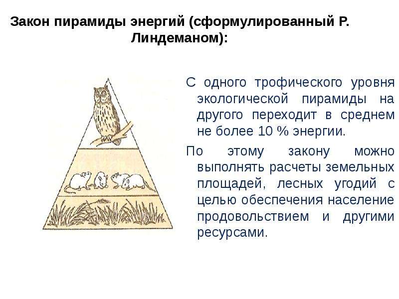 Пирамида энергии