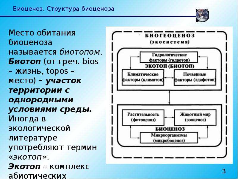 Структура биоценоза. Биоценоз и его структура. Основные структурные элементы биоценоза. Структура биоценоза компонент.