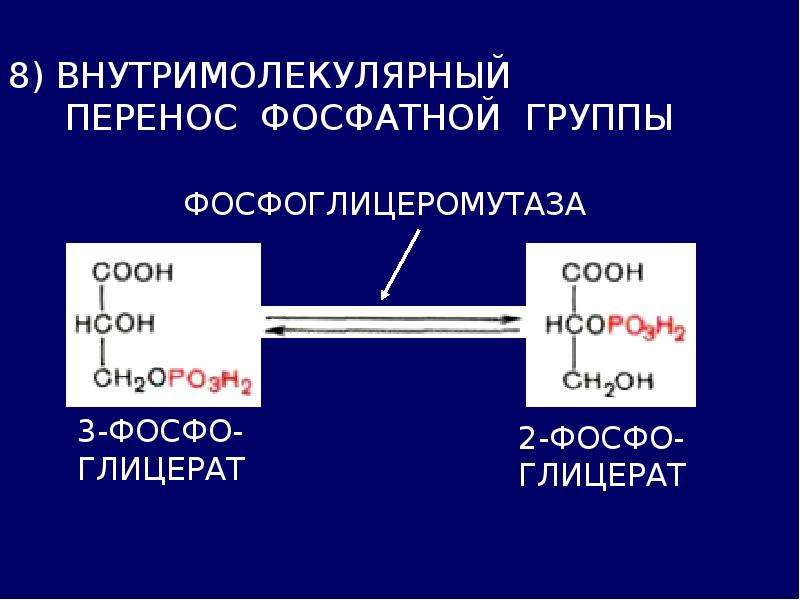 Гликолиз обмен. Гликолиз презентация. Гликолиз и брожение. Спиртовое брожение. Фосфоглицеромутаза.