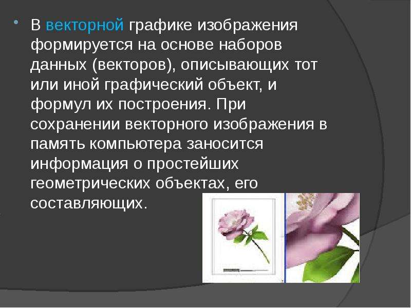 Разновидность компьютерной графики в которой изображение формируется на основе наборов данных