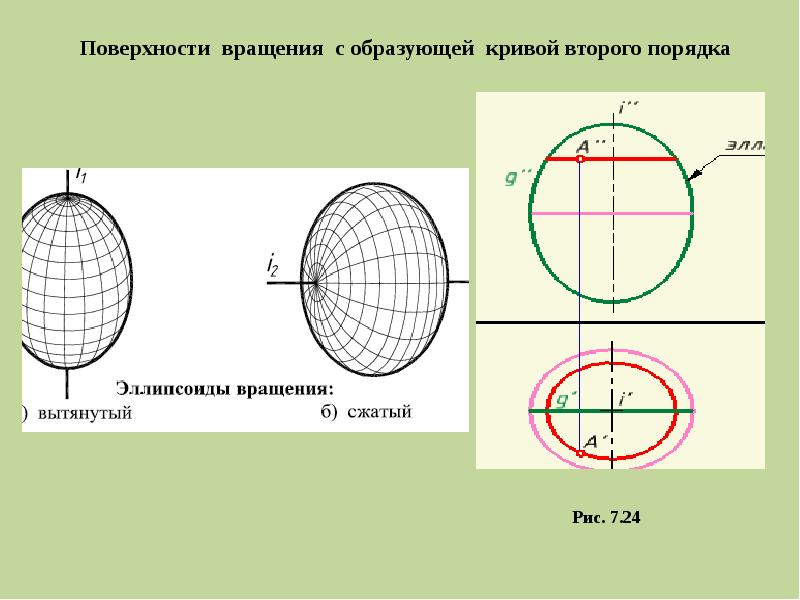 Какой из разновидностей поверхностей является сферическая. Эллипсоид вращения Начертательная геометрия. Сферическая поверхность. Сферическая плоскость. Названия линий на поверхности сферы.