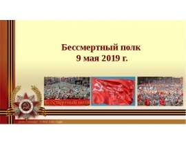 Бессмертный полк 2019. Общий план расположения участков