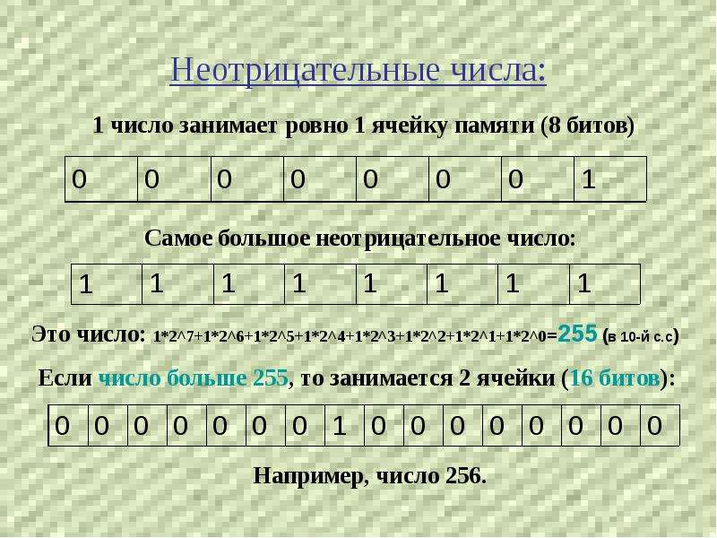 Какое наименьшее неотрицательное целое число. Отрицательные и неотрицательные числа. Целые неотрицательные числа. Неотрицательные числа и неотрицательные числа. Целое неотрицательное число это.