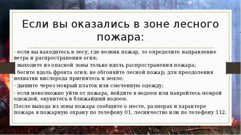 Проект на тему чрезвычайные ситуации природного характера