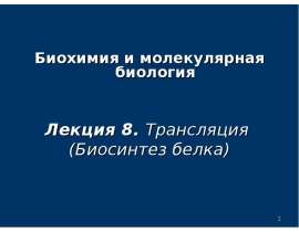 Трансляция. Биосинтез белка. (Лекция 8)
