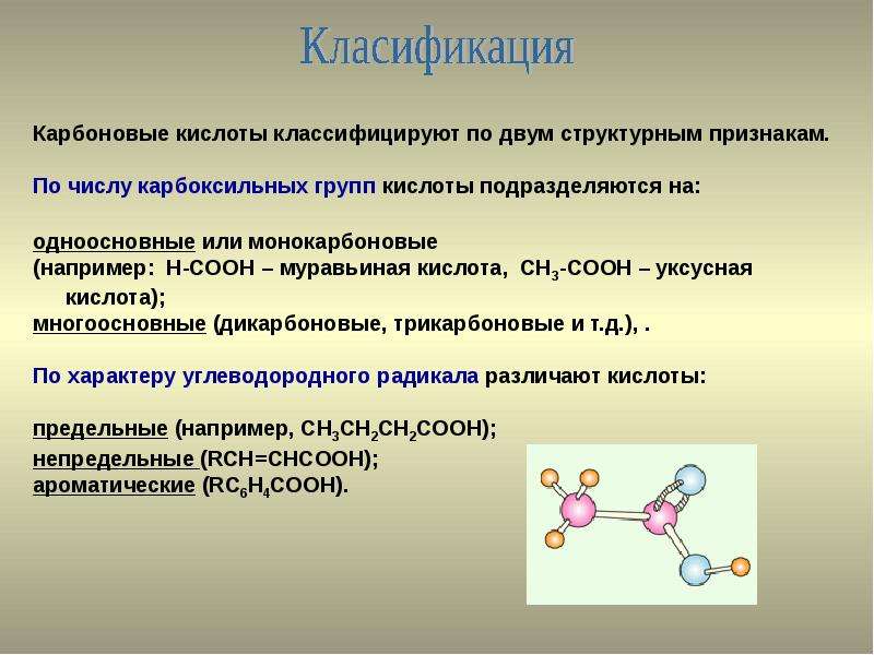 Индивидуальный проект карбоновые кислоты