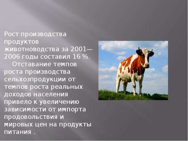 Правление В. В. Путина, слайд 11