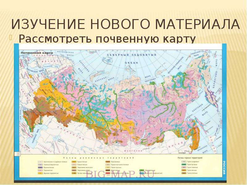 Карта типов почв россии