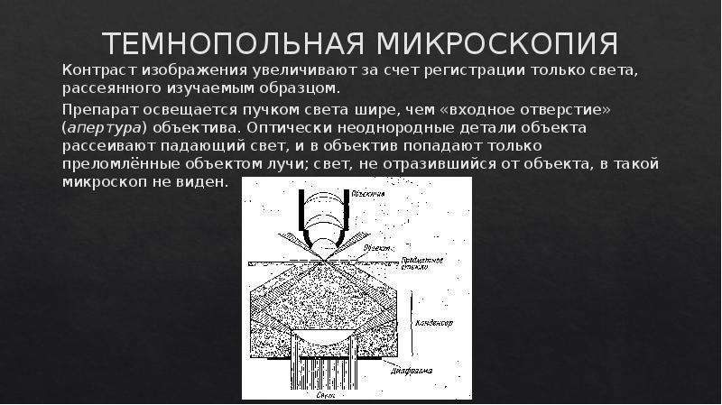 Микроскопия в светлом поле