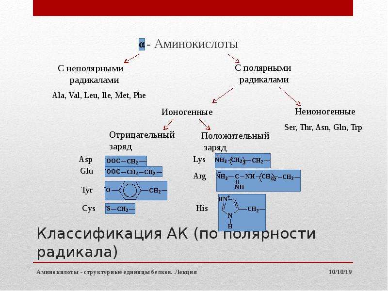 Аминокислоты презентация 10 класс базовый уровень