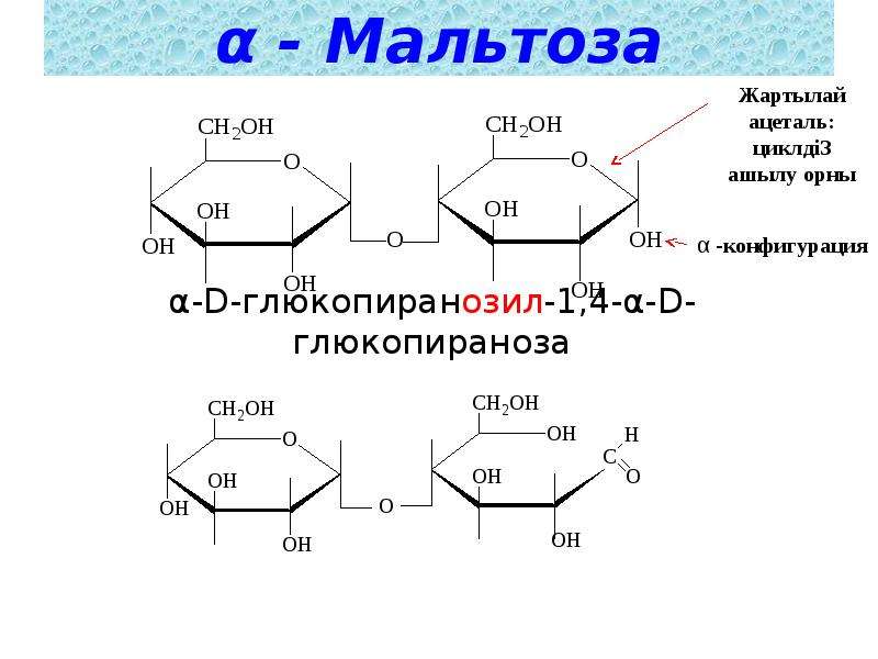 B d мальтоза. Гидролиз мальтозы формула. Гидролиз мальтозы. Глюкопираноза. Образование мальтозы.