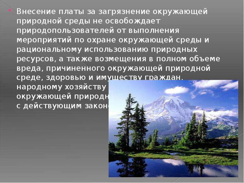 Реферат: Порядок определения размеров платежей за загрязнение окружающей среды