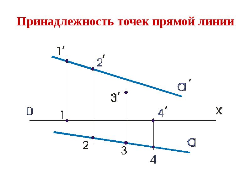 Принадлежность точек