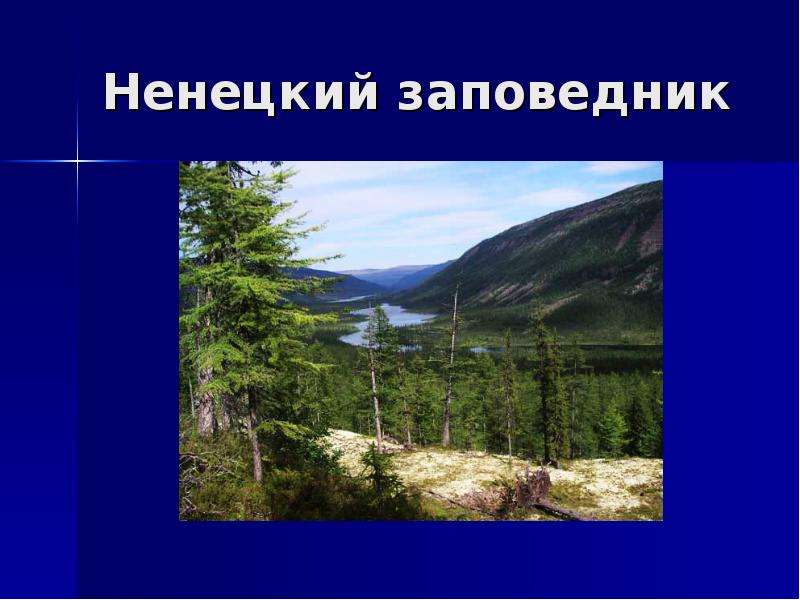 Заповедники в европейской части страны. Ненецкий заповедник. Заповедники европейского севера. Национальный парк европейского севера России. Заповедники европейского севера России презентация.