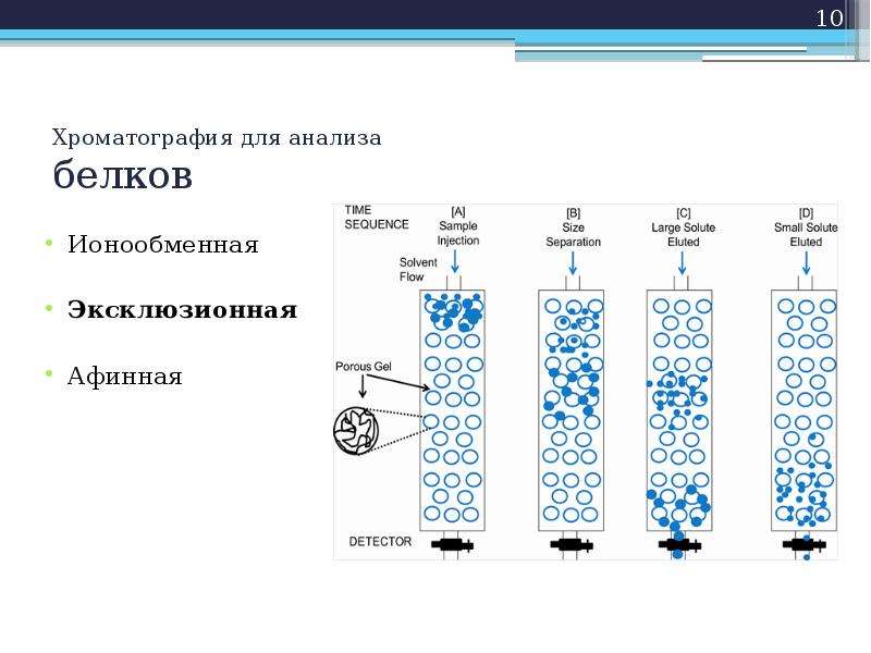 Эксклюзионная хроматография презентация