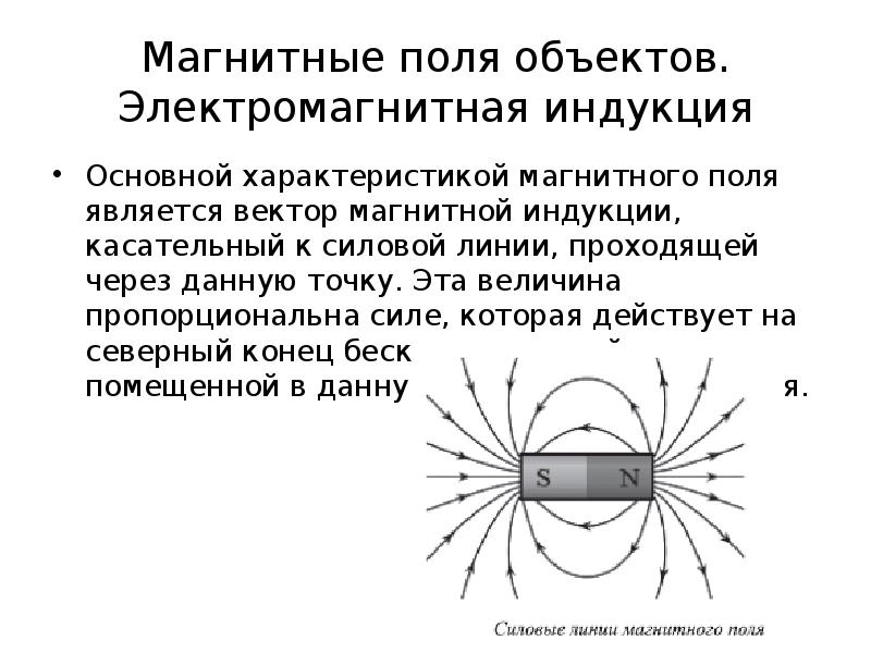 Силовая характеристика магнитного поля в данной точке