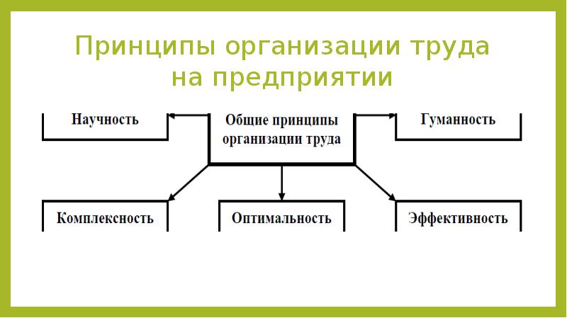 2 принципы организации