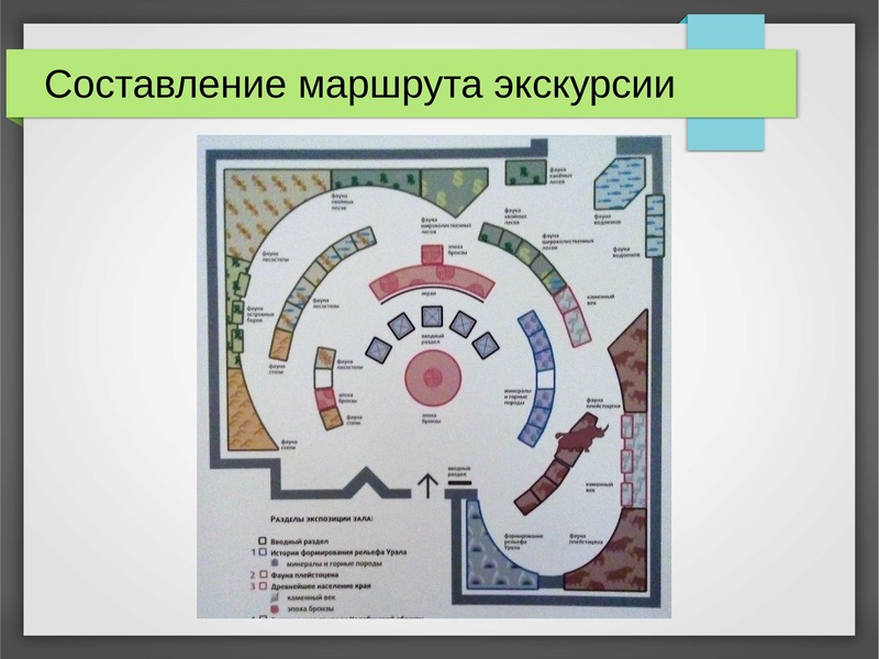 Проведите экскурсию в биогеоценоз под руководством учителя разработайте план