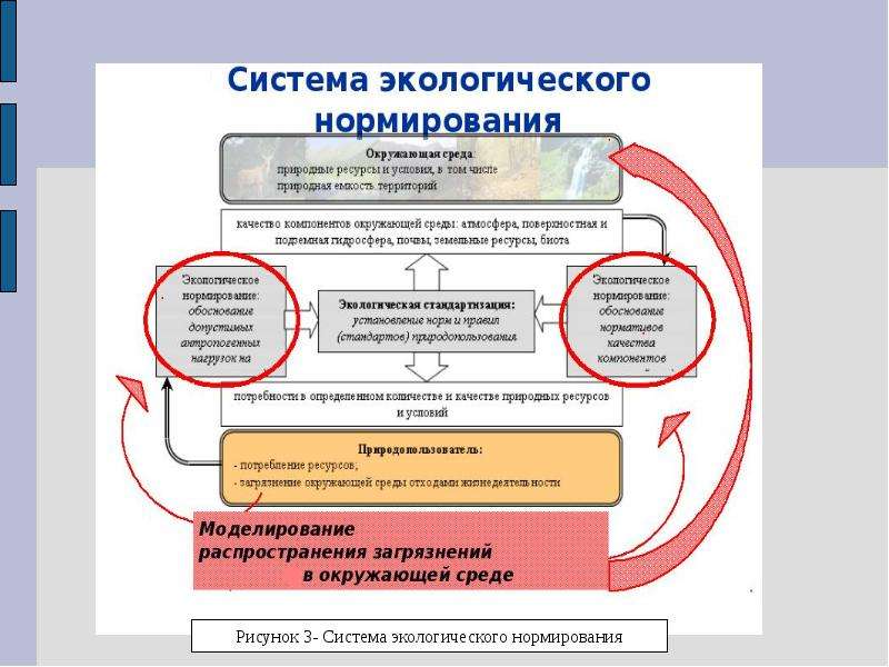 Природная среда территории. Система экологического нормирования. Структура экологического нормирования. Экологическая емкость территории. Субъекты экологического нормирования.