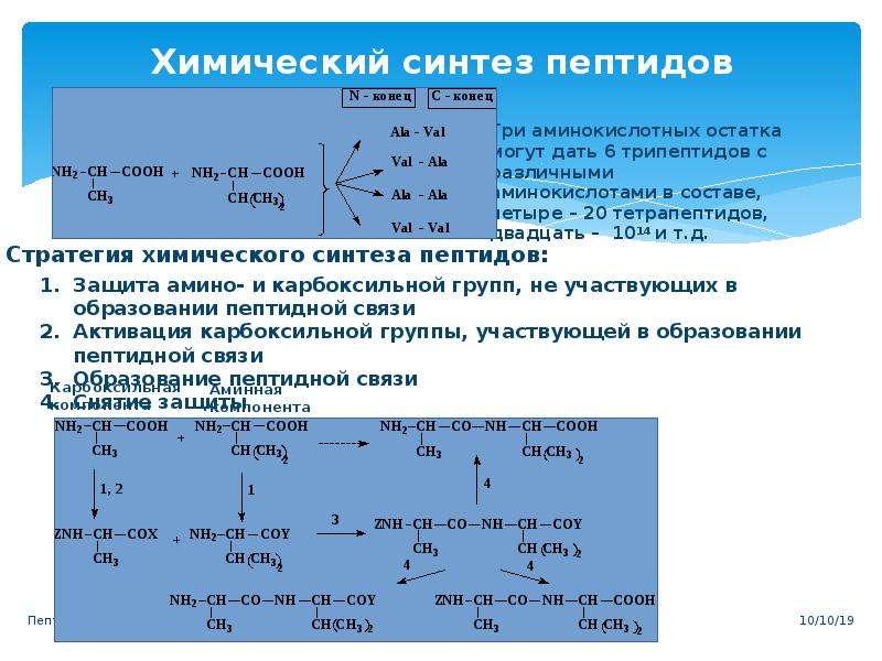 Пептиды последовательность синтеза пептидов