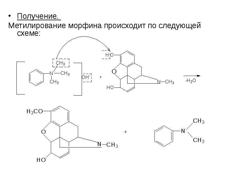 13 синтезы. Кодеин получают метилированием морфина. Реакции на морфин гидрохлорид. Производные фенантренизохинолина морфина гидрохлорид. Proizvodnye fenantren izohinolina Formula.