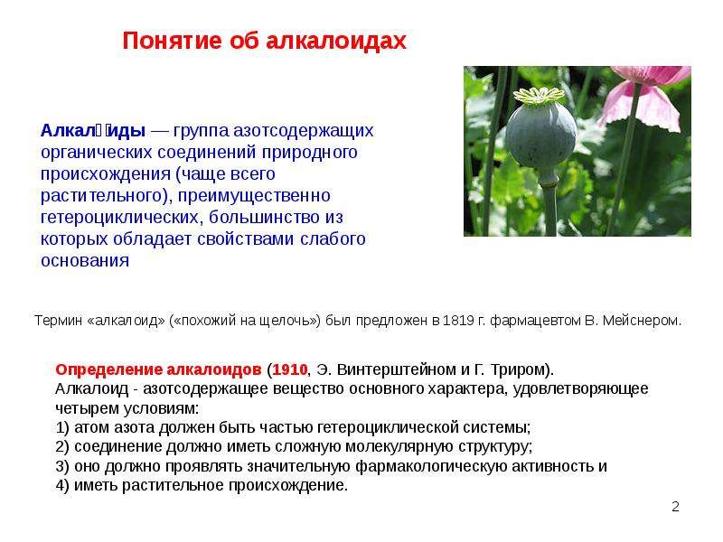 Примеры растительного происхождения. Алкалоиды растительного происхождения. Понятие об алкалоидах.. Определение понятия алкалоиды. Алкалоиды общая характеристика.