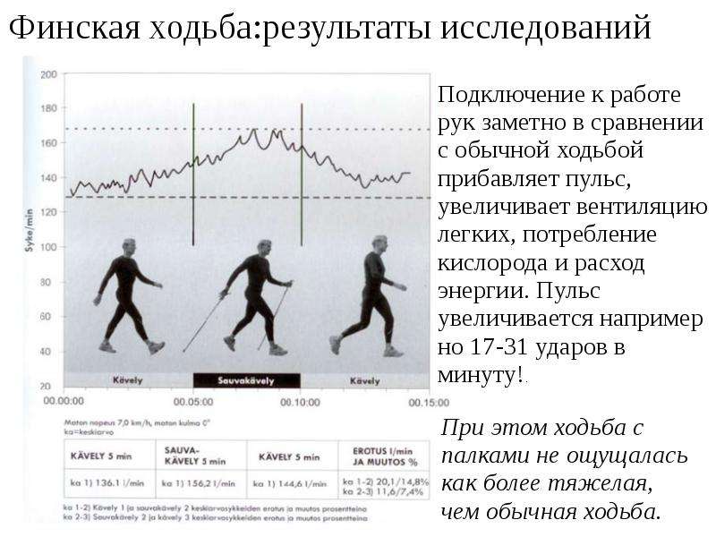 Социальный проект скандинавская ходьба