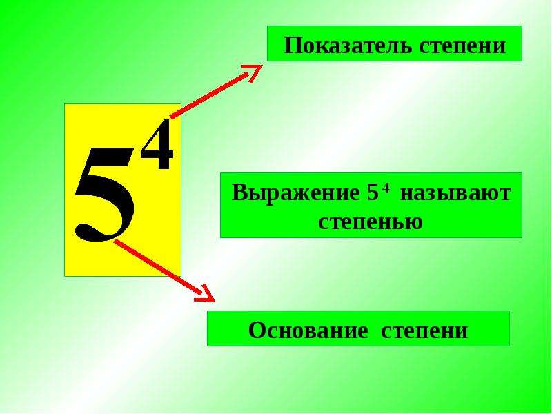 Показатель степени. Основание степени. Основание и показатель степени. Основание степени и показатель степени. Основатель и показатель степени.