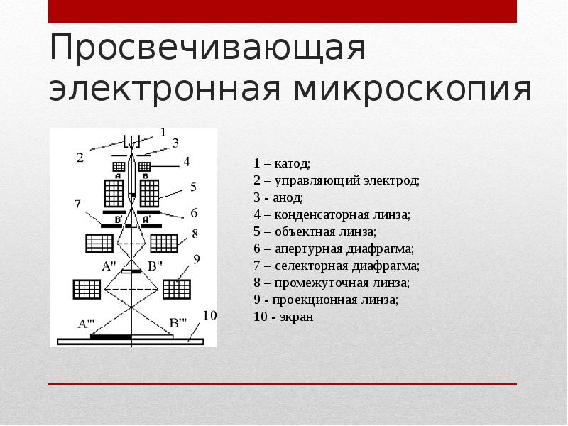 Просвечивающая электронная микроскопия