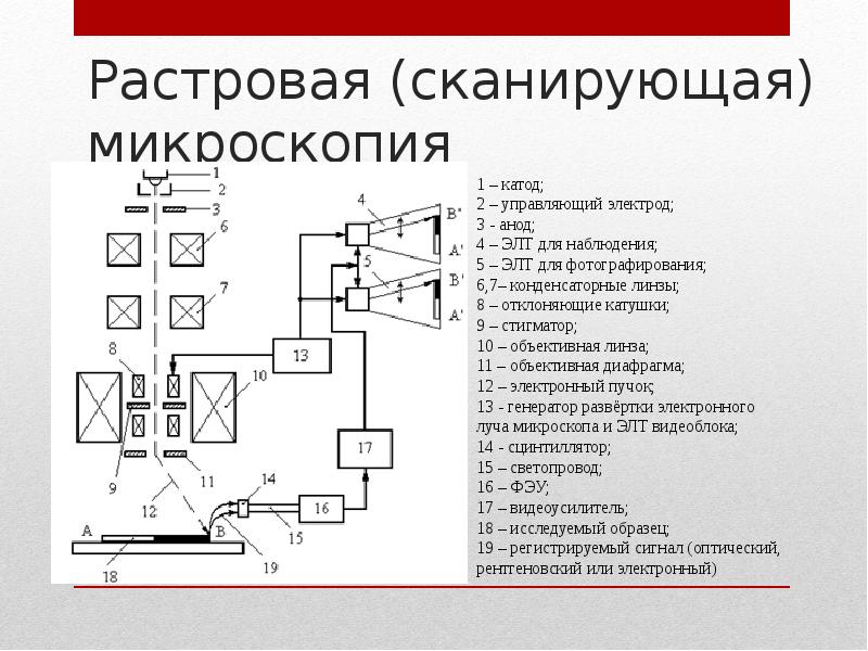 Электронная микроскопия презентация