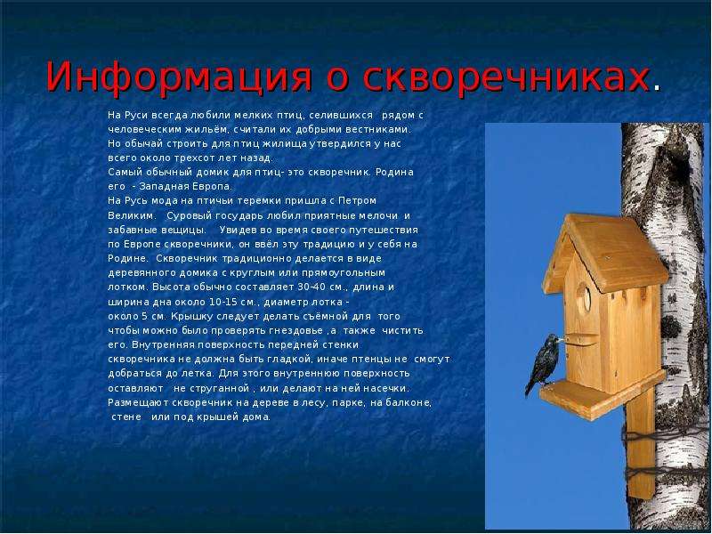 Презентация проект скворечник